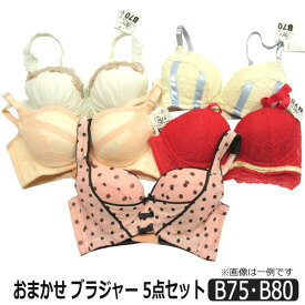 訳あり レディース ブラジャー 5点セット 色柄おまかせ B75 B80 set0662 宅配便送料無料♪ 婦人 女性 セット インナー ブラ 単品 ra-k 北海道と沖縄県ご注文不可 zy030 yob2402 (551