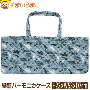 sAjJ P[X j̎q 036 Ճn[jJ obO  b0500 q Lg LgbXobO bXobO n[jJP[X  Jo obN Vw Ew wfb bX