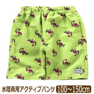 �y�݌Ɍ���z�y�������i�z �������p �p���c �������H ���� �j�̎q ���̎q �L�b�Y ���� 4���� �n�[�t�p���c ���Y�{�� 100cm 110cm 120cm 130cm 140cm 150cm R323074 F.O.KIDS �G�t�I�[�L�b�Y �l�R�|�X�ւ͑���