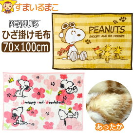 ひざ掛け キャラクター 毛布 スヌーピー マイヤー あったか ふわふわ ブランケット ひざかけ 膝掛け 約70×100cm k0246 SNOOPY PEANUTS ピーナッツ メール便は送料無料 子供 キッズ ジュニア ジュニア毛布 お昼寝 冷え防止 寒さ対策 防寒 qw411