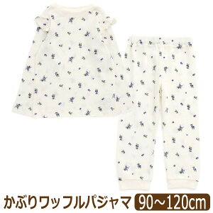 yiz pW}  Ԃ  XEB[g JbvP[L u[x[ ㉺ Zbg bt LbY ̎q 90cm 100cm 110cm 120cm L158045 ApTh Ampersand q iCgEFA ㉺