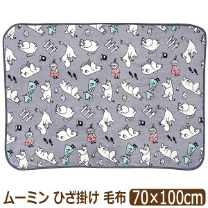 [~ Ђ| LN^[ TS}C[  ӂӂ ѕz y   RpNg 70×100cm k1348 g~C XitL [ւ͑ q LbY WjA  