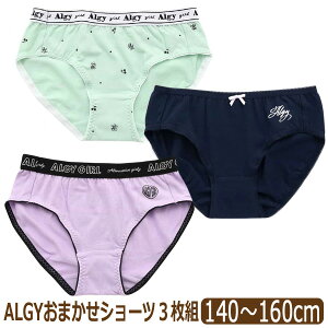  ̎q V[c 3 Zbg XS 140cm S 150cm M 160cm F܂ set1437 ALGY AW[ [ւ͑ q LbY WjA 3g Ci[ pc  M[ X^_[h w 