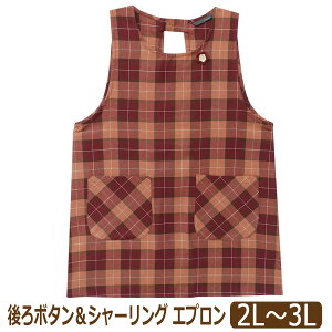 Gv 傫TCY  `FbN {^&V[O ^ fB[X 傫߃TCY 2L`3L W-65772 k0717 [ւ͑ wl   m[X[uGv Ԃ