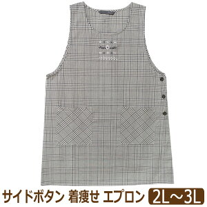 Gv 傫TCY TCh{^ ^  fB[X 2L`3L W-66005 k0808 [ւ͑ 傫߃TCY  wl  e{^ Ԃ^Cv Gv O|  