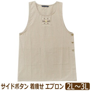 Gv 傫TCY TCh{^ ^  fB[X 2L`3L W-66005 k0808 [ւ͑ 傫߃TCY  wl  e{^ Ԃ^Cv Gv O|  