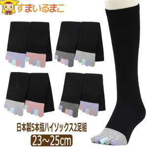 5{w nC\bNX fB[X { 2g Zbg \100 ܖ{w 23`25cm A× BD×ZD C×D D×ZD set1025 lR|Xւ͑ \bNX C RۖhLH  wl 