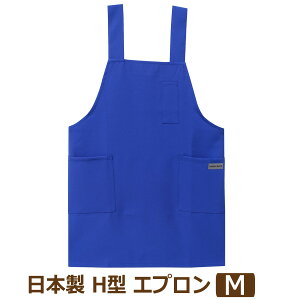 Gv V[g { H^ Mɋ ͂   Vv n M 40152 k1181 Tj[Cg lR|Xւ͑ wl  l H^Gv m[X[uGv O| 