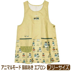 yiz Gv TCh{^ fB[X L  Aj}[h Vi pE e{^ Ԃ t[TCY 25-8031 Kusuguru NXO [ւ͑ wl  m[X[uG