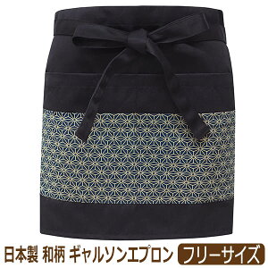 { a M\ JtF Gv V[g n ȃ| O|  fB[X t[TCY Z k1313 lR|Xւ͑ wl  M\Gv O [NGv