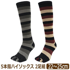 C fB[X 5{w ܖ{w \bNX nC\bNX 2 Zbg ȍ {[_[  S 22`25cm set1230 lR|Xւ͑ wl    ܖ{wnC\bNX ܖ{