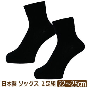 C { fB[X RۉH   SȂ [N[ \bNX 2 Zbg \100 22`25cm set1442 [ւ͑ wl    C 2g Vv 