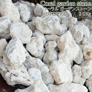 R[ K[fXg[iΊDj20kg@100`300mm G  i`Xg[  ꂢ  G K[fjO zCg ϗtA  뉀 | GNXeA X JtF 