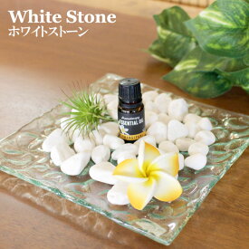 【ゆうパケット発送】ホワイトストーン お得な850gパック 石 ナチュラルストーン おしゃれ かわいい きれい 雑貨 モダン ガーデニング 敷石 苔球 盆栽 観葉植物 飾り石 STO-0243