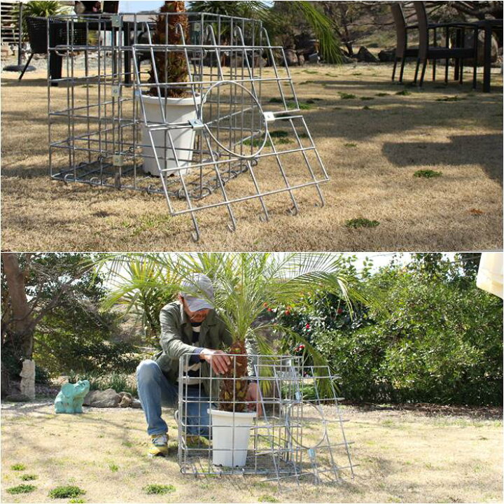 楽天市場 ガビオン エクステリア ガーデニング 観葉植物 庭 庭園 園芸 店舗 カフェ 改装 リフォーム 蛇篭 じゃかご ジャカゴ 石 おしゃれ アクセント Met 0078 バリ雑貨ｍａｎｊａ