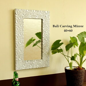 ؒt[ ~[ vA zCg W40xH60cm  Ǌ| ؐ  Ebh  J[rO AWA G AWAG Rf GXjbN _ CeA 蒤 AWAeC