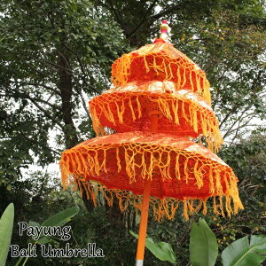 oP H220cm 3i IW p oG AWAG o GXjbN AWAeCXg ][gCeA _][g o Xܓ X܊O  xW| Iu