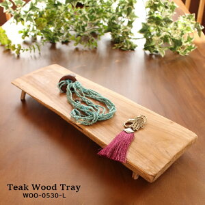 AWAG `[N C gC ؂芔 rtiW45×D15×H5cmj ANZT[gC i` VRf WOO-0530-L