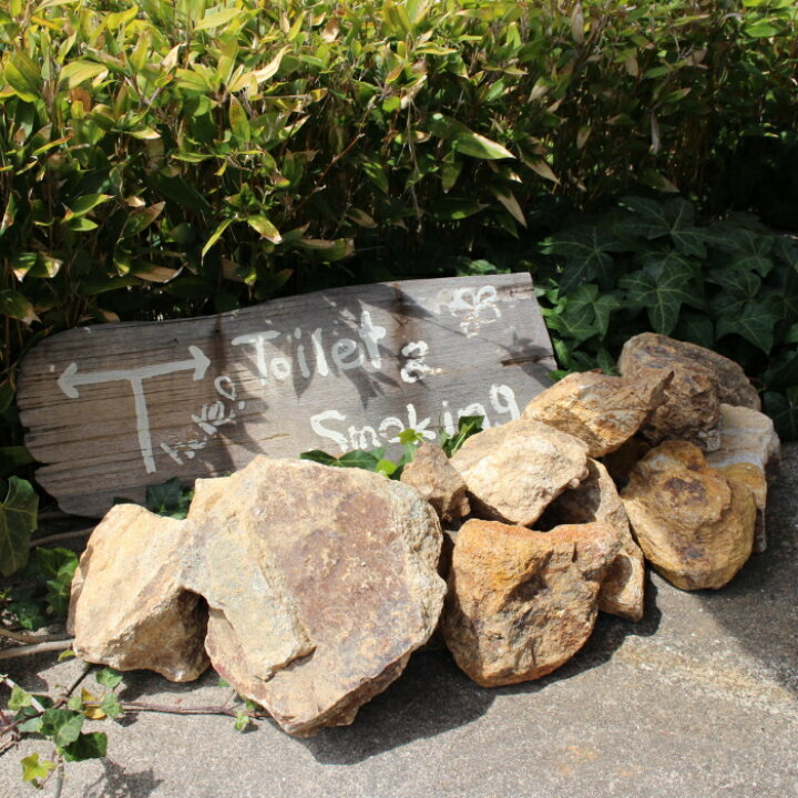 楽天市場】ロックガーデン ロックマーブル 約10～25cm 20Kg 石 