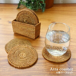 R[X^[6ƃR[X^[P[X̃Zbg 10cm A^  ҂ VR i` Vv AWA G  킢 ꂢ yY o ChlVA 썑 ][g CeA 