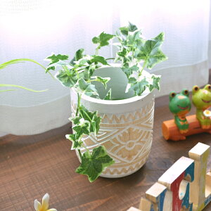 Ebhv^[ Jo[ |bg 14.5cm×15.5cm ؐ Ebh nhCh IuWF ؒ  J[rO  ϗtA AWAG o@uK WOO-0513