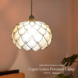 yLEDdWz݂艺Ɩ 24.5cm×19cmy[^Xz zCg JsXVF y_gCg VƖ ԐڏƖ V[OCg  i` AWA Cg  ꂢ 