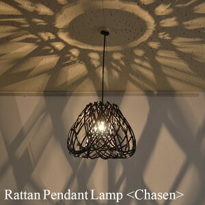 yLEDdWz݂艺Ɩ ^ Ɩ Chasens43cm × 30cmt[WTCY 60W E17 LEDΉ ҂ Ɩ y_gCg CeAƖ ԐڏƖ VƖ Rf CeA rO 