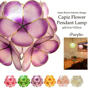 yLEDdWz݂艺Ɩ JsXL st[{[t a26.5cm 22cm MTCY -p[v- V[OCg Ɩ y_gCg VƖ Ɩ AWA ԐڏƖ X|bgC