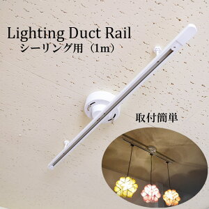 CeBO_Ng[1m V[Op Ɩ 100cmVƖ DIY tH[ CN ݂艺Cg y_gCg d Ɩ ȒPt Hsv ȒP ֗ _Ng[ CeB