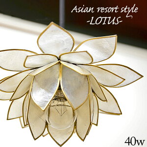 Ɩ y_gCg E17 40W y[^Xz W20cm×H9cm zCg JsXL VF ݂艺Ɩ i` nMOCg VƖ ԐڏƖ VF[h AWA o G CeA