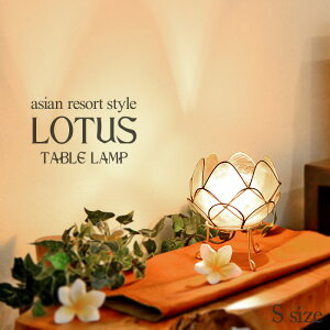 Ɩ [^X (@̉) sStH14cm E12/20W zCg JsXL 썑][g RpNg ȒPݒu VRf Rf  킢 AWA o G zI CeA v[g 