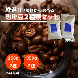 【7種から選べる】厳選珈琲豆2種セットコーヒー豆 お試し 福袋 300g 700g 送料無料 満天珈琲 人気 おすすめ 自家焙煎