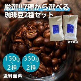 2種選べる コーヒー豆 お試し 飲み比べ（300g/700g）｜豆or粉（極細～粗挽き）150g 350g コーヒー 自家焙煎 満天珈琲 福袋 マンデリン グァテマラ コロンビア エチオピア アイスコーヒー ブラジル タンザニア