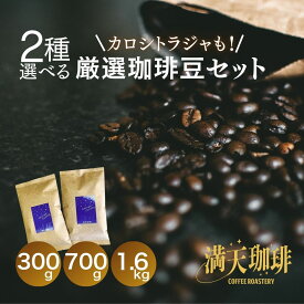 5種から2種選択 トラジャコーヒーも選べる コーヒー豆 お試し 300g 700g 1.6kg 福袋 送料無料 満天珈琲 珈琲豆 インドネシア トラジャ コーヒー