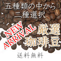 ネコポス対応 5種類の中からお好きなの2種類選択 日本製 コーヒー豆のお試し福袋 ◇限定Special Price