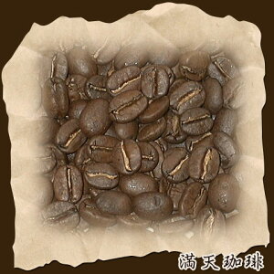 Gh }Ee 500gyRrA ChlVA lC  [ R[q[    蓤 hbvR[q[ hbv ߂   XyVeB Xg[g