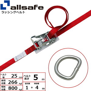 ラッシングベルト デルタリング 幅25mm 長さ1+4m 赤 allsafe オールセーフ ベルト荷締機