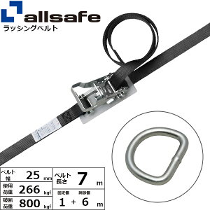 bVOxg f^O 25mm 1+6m  allsafe I[Z[t xgג@