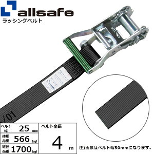 bVOxg Eh^Cv 25mm 4m  allsafe I[Z[t xgג@