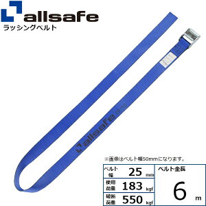 bVOxg Eh^Cv 25mm 6m  allsafe I[Z[t xgג@
