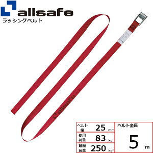 bVOxg Eh^Cv 25mm 5m  allsafe I[Z[t xgג@