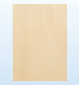 �p�l�� A4 �˘g ArTec �p�l�� A4 �˘g