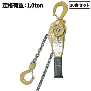 10Zbg S[ho[zCXg 1.0ton o[zCXg i׏d1000kg `F[zCXg