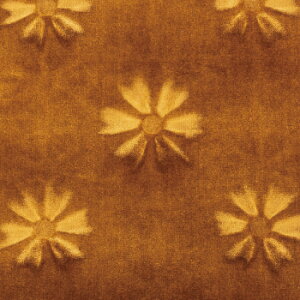 n1m RXX S[h n RXX gbNpi