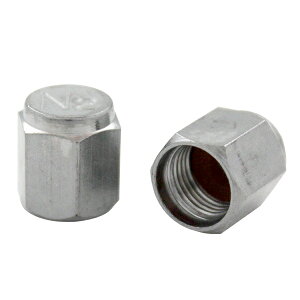 N2キャップ シルバー 100個 N2タイヤキャップ エアーバルブ