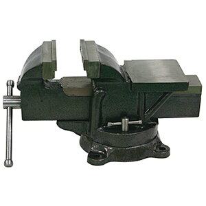 ][hoCX100mm [hoCX100mm ŒH