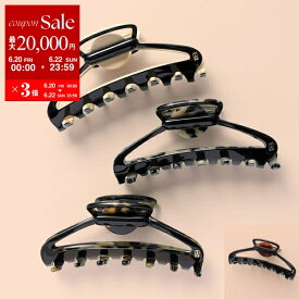 【6/20～22限定・最大2万円OFFクーポン配布中】ALEXANDRE DE PARIS アレクサンドル ドゥ パリ ヘアクリップ ACCL-17417-02 レディース 髪留め ヘアアクセサリー カラー4色【po_sannn】