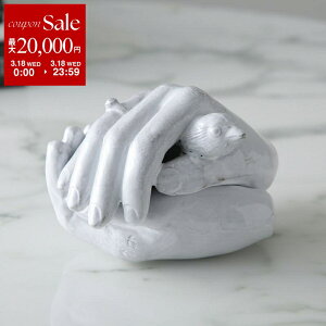 �y�ő�2���~OFF�N�[�|���ΏہE3/18����zAstier de Villatte �A�X�e�B�G�E�h�E���B���b�g �{�b�N�X Serena White Ring �Z���i BTESRN1 ���� �������� �I�u�W�F �y�ԕi�����s�z