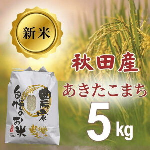 V ܂ 5kg ߘa7N V   HcY _Ƃ̂