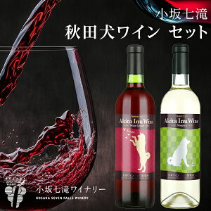 YC HcC2{Zbg ⎵ y/̓Mtg/Mtg/v[g/a/lC/j/Ԃ/oYj/j/Cjz